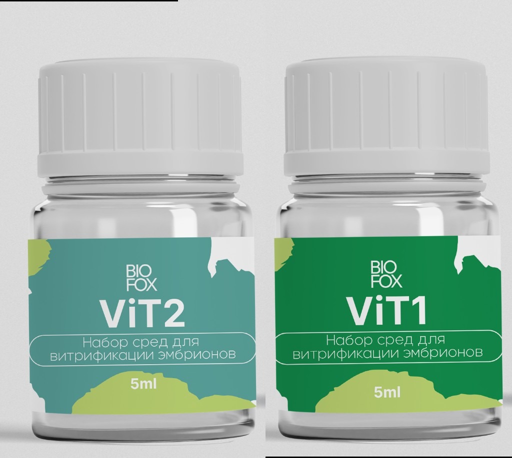 ViT1 / ViT2
