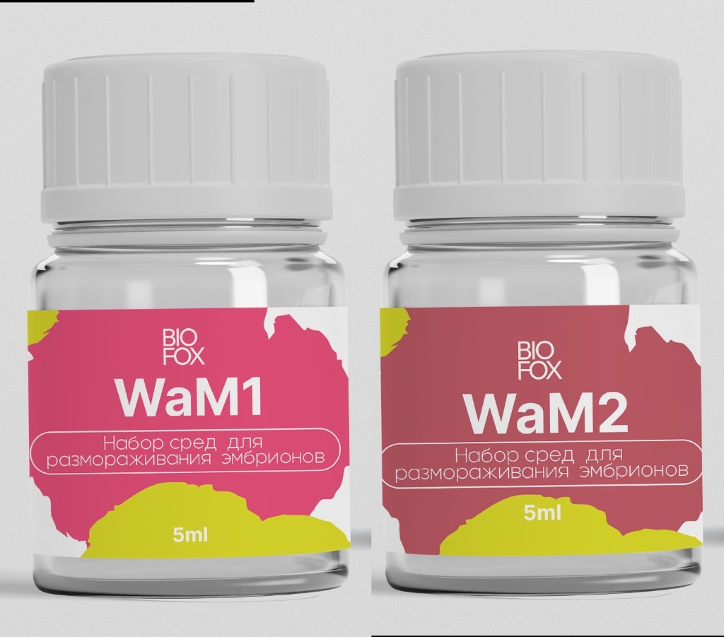 WaM1 / WaM2 / WaM3